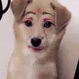 溜肩微语
