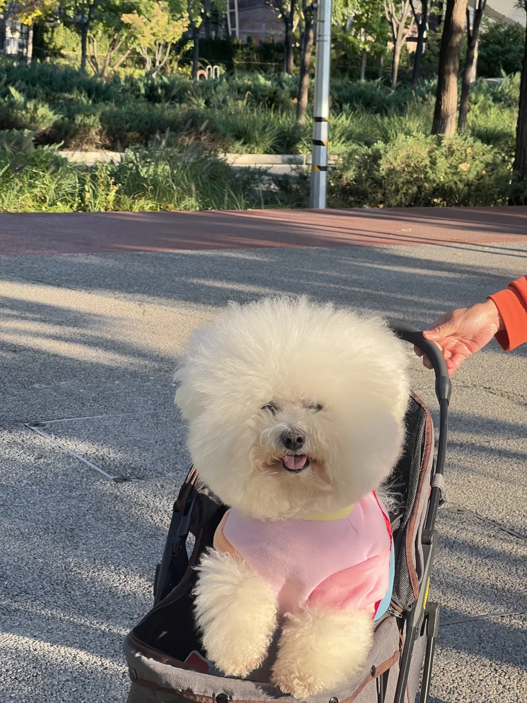 远远的和滑雪大跳台合影😂⛷️