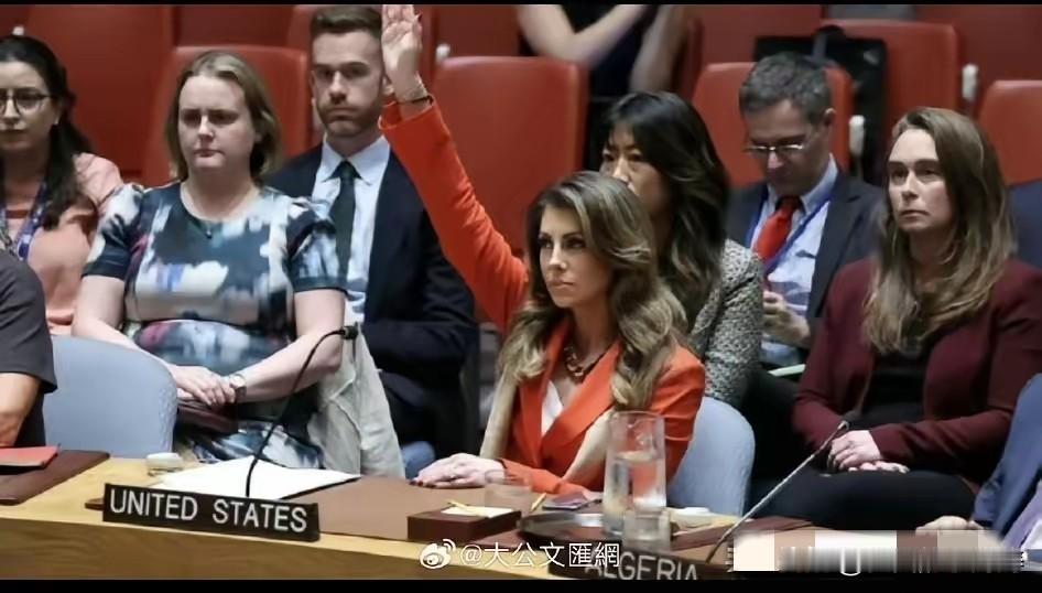世界秩序正被撕开裂缝！
​昨天凌晨，联合国安理会再度上演令人窒息的一幕：美国单枪