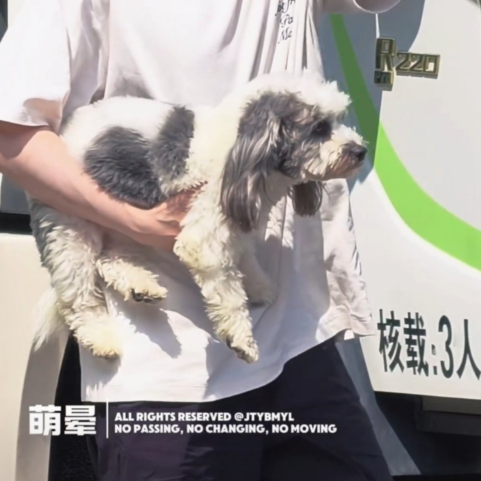 给九月都累呆滞了啊啊啊啊啊 