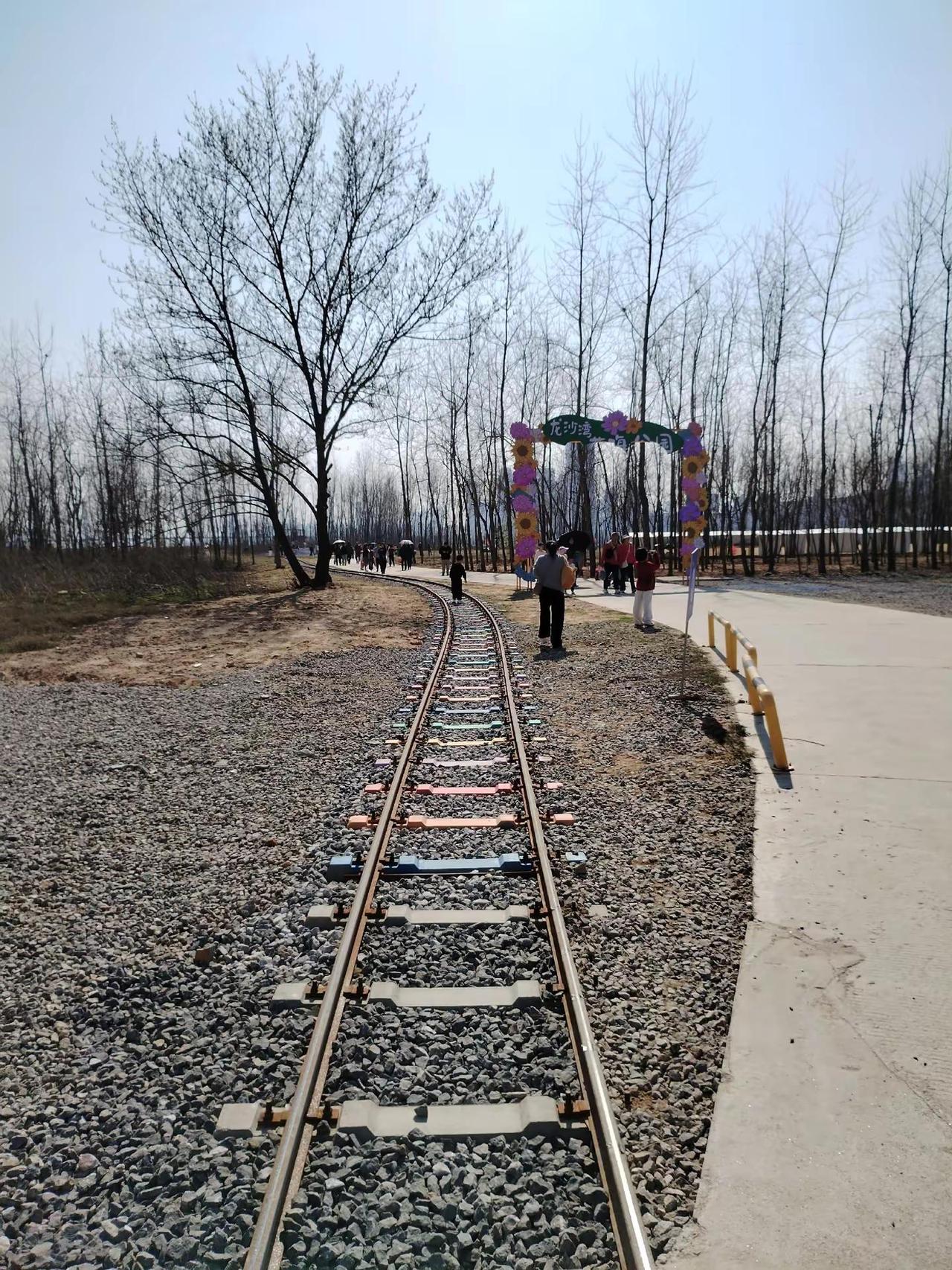 南昌的彩色油菜花盛开了。南昌的油菜花盛开了，五彩的油菜花可不多见，就在扬子洲龙沙