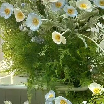 阳光信用‎阳光‎信用 ‎每日一善 你的身后如果中了冷箭，说明你走在他们前面。你会