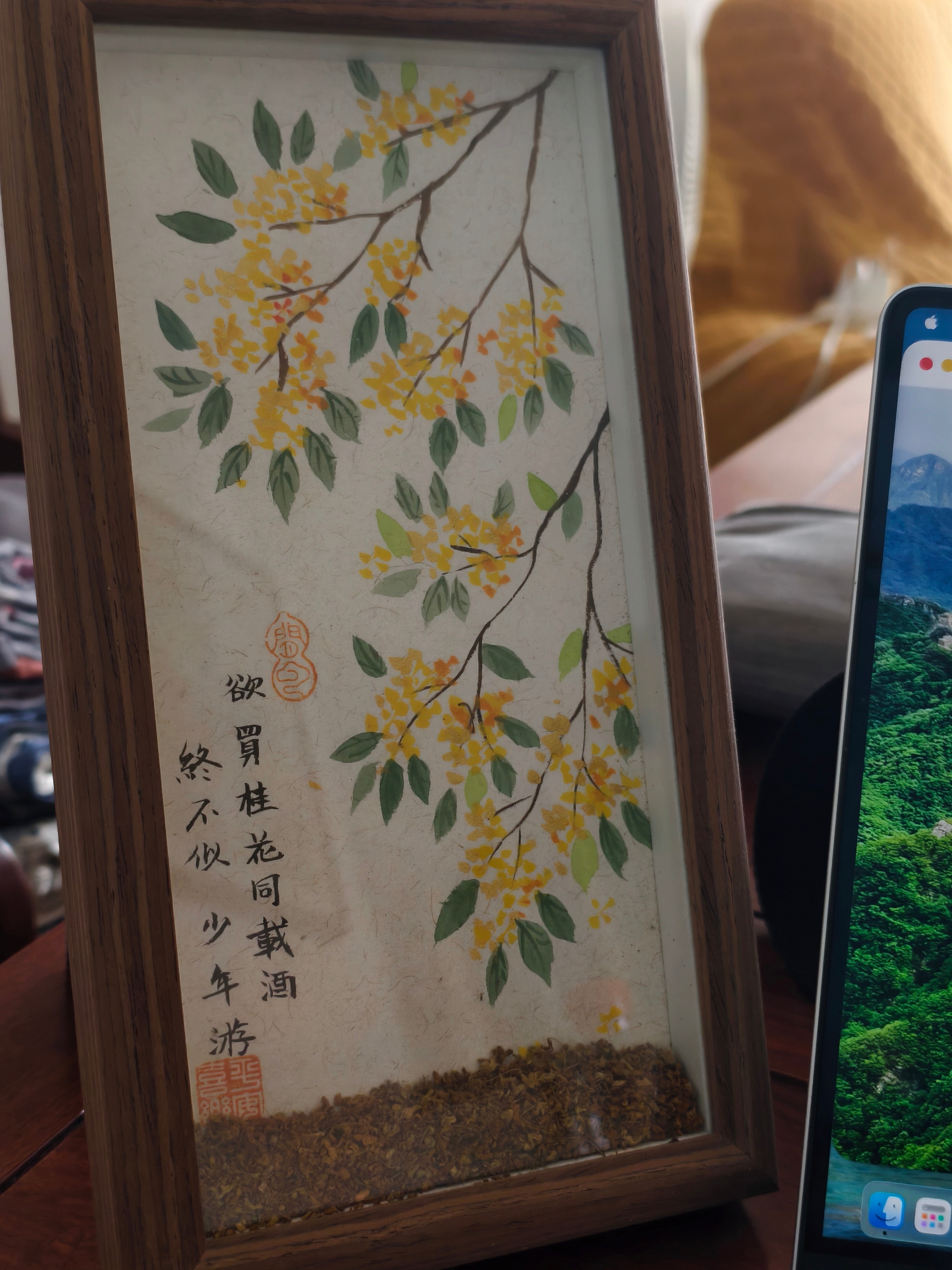 咸宁，桂花之乡水资源太多，村里的这条河几十年依旧我跟表弟小时候就一直在这玩水天天