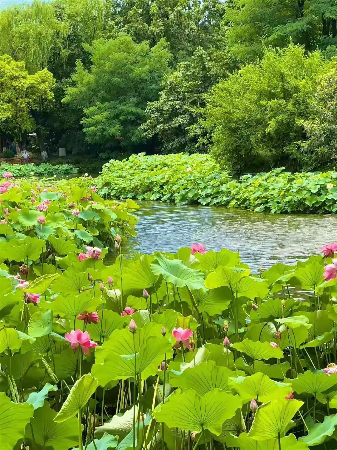 “上船不思岸上人”是拎着旧时光的行李轻装前行，“下船不提船上事”是把过往的浪花收