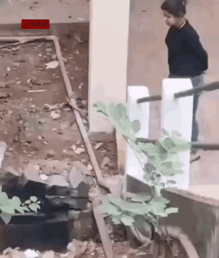 出手果决，真是女中豪杰