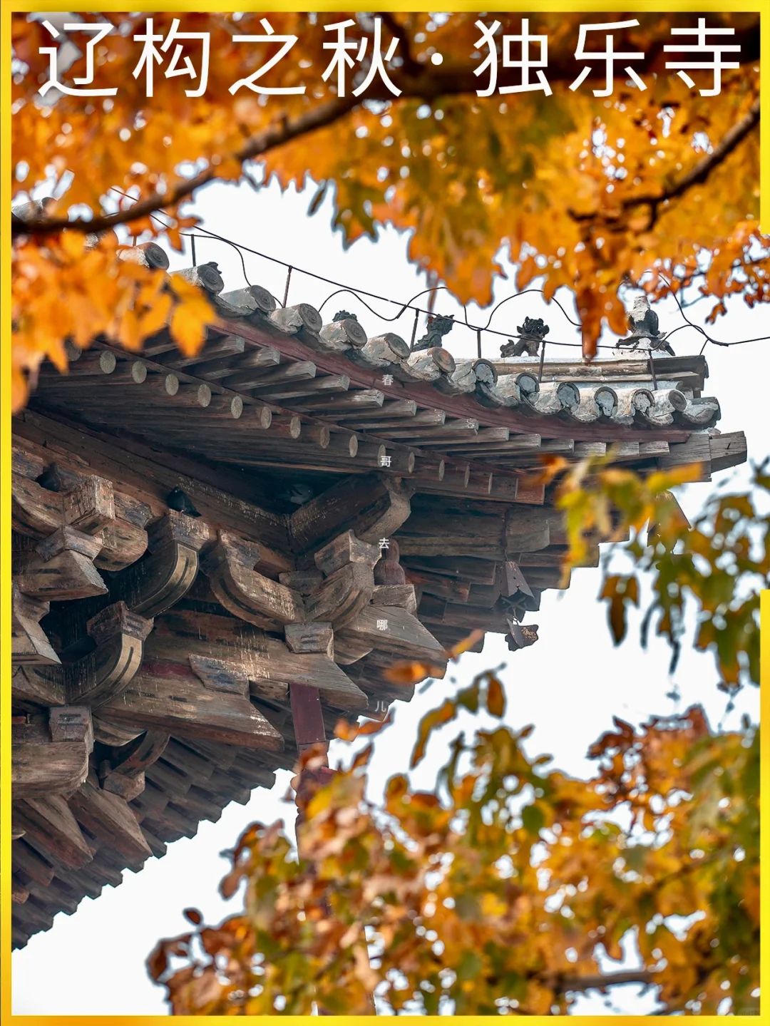 蓟州这古寺，比北京很多所谓千年古刹强太多