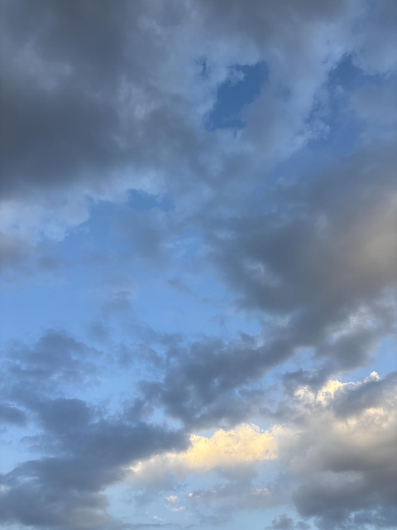 网上那句“交换一张你最近拍的天空”真的太温柔了。现在相册里全是天空的照片，清晨的