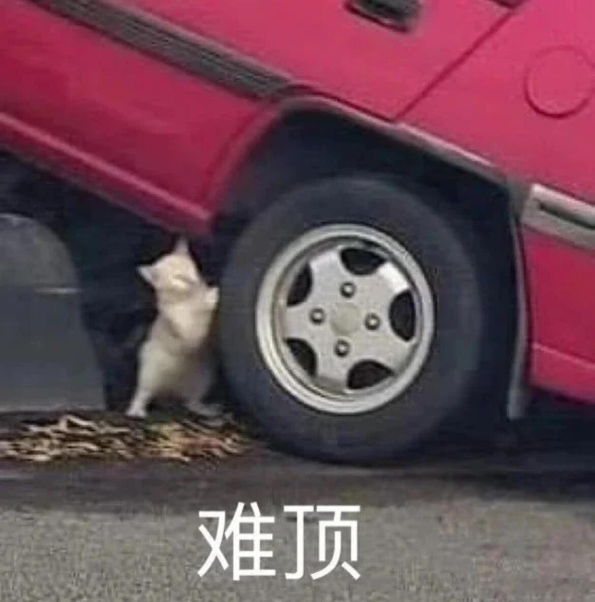 市场不少声音把MSTR完成3亿美元股票增发视作利好，可剥开表象看，这只是公司高杠
