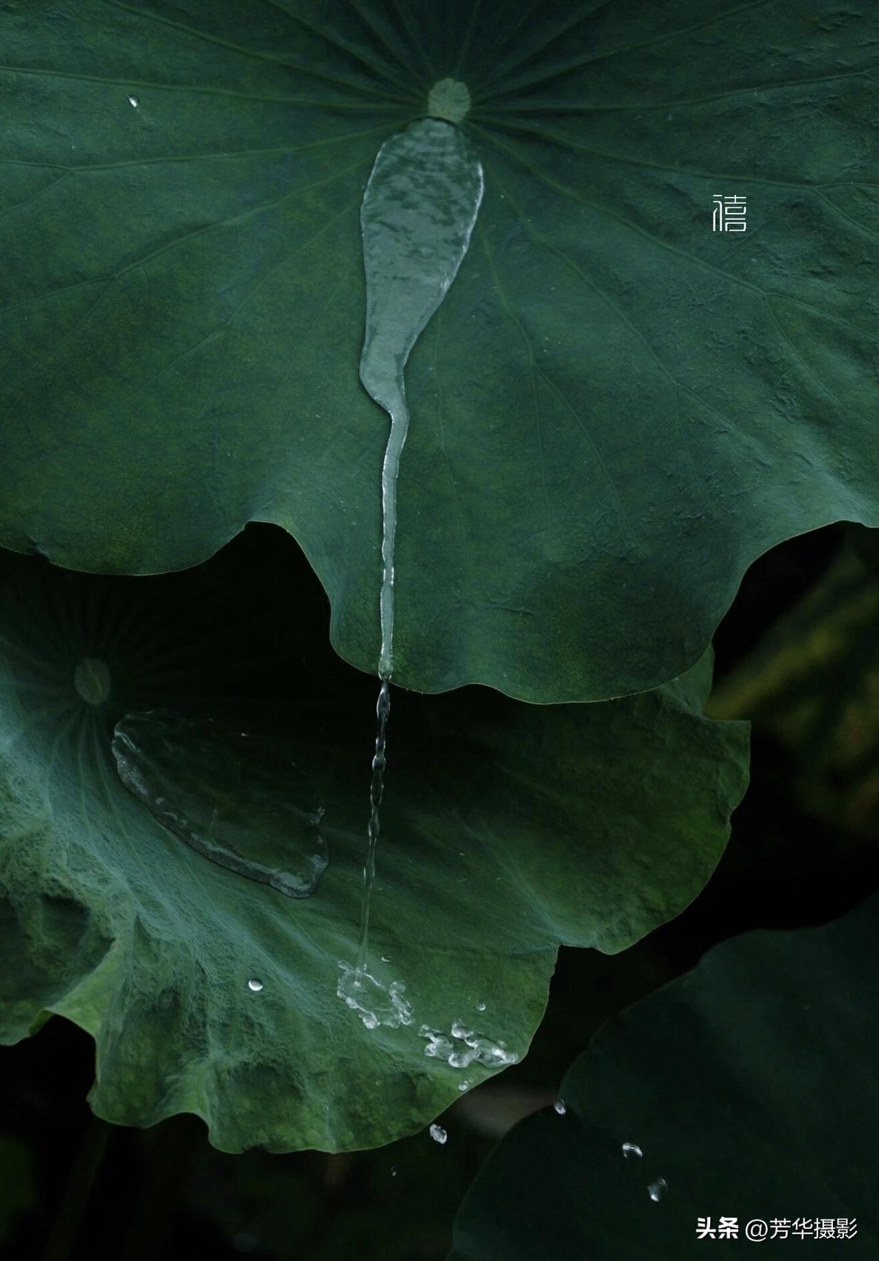 你都不好意思偷懒
多和正能量的人接触
向上社交向下兼容 多好
目标放中间 杂事放