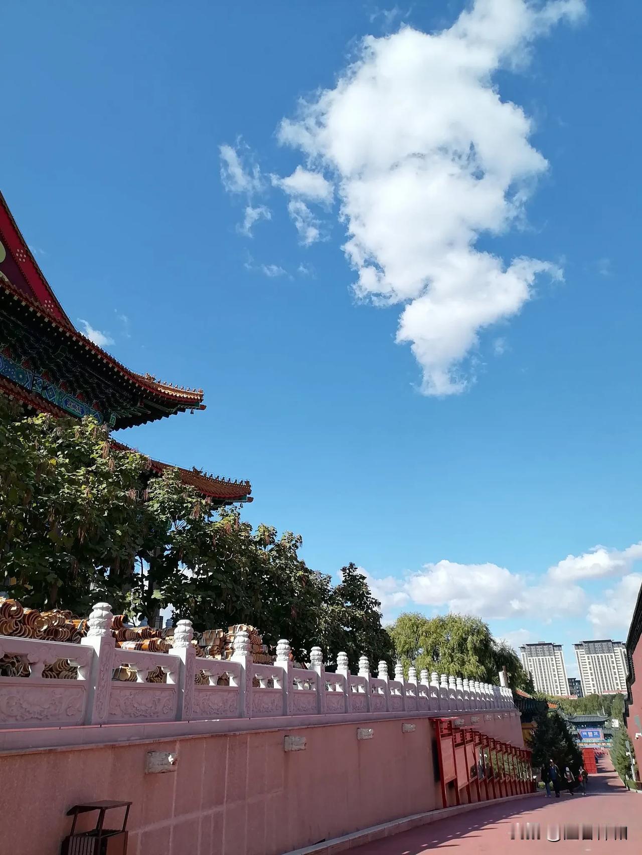 手机的危害
       今天我和同学们出门聚会，回来的时候，已经是下午2点多钟