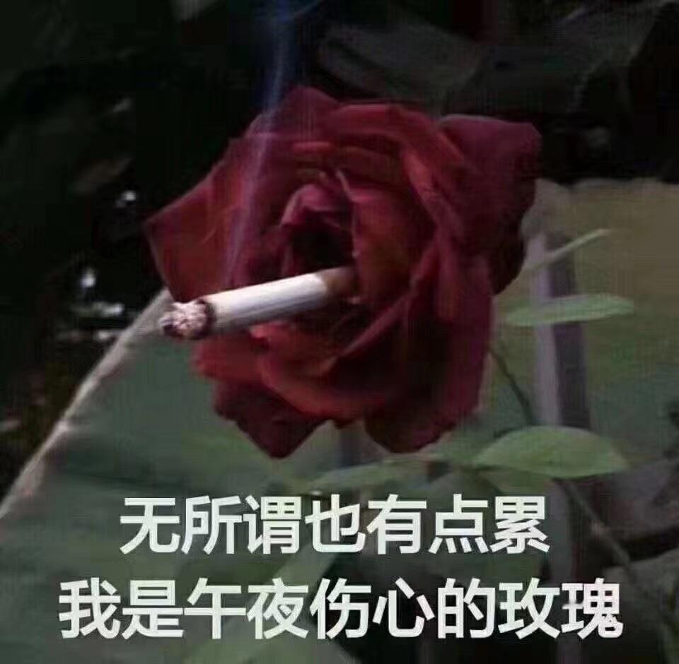 生活手记心死[泪奔][泪奔][泪奔]我睡不着啊啊 ​​​