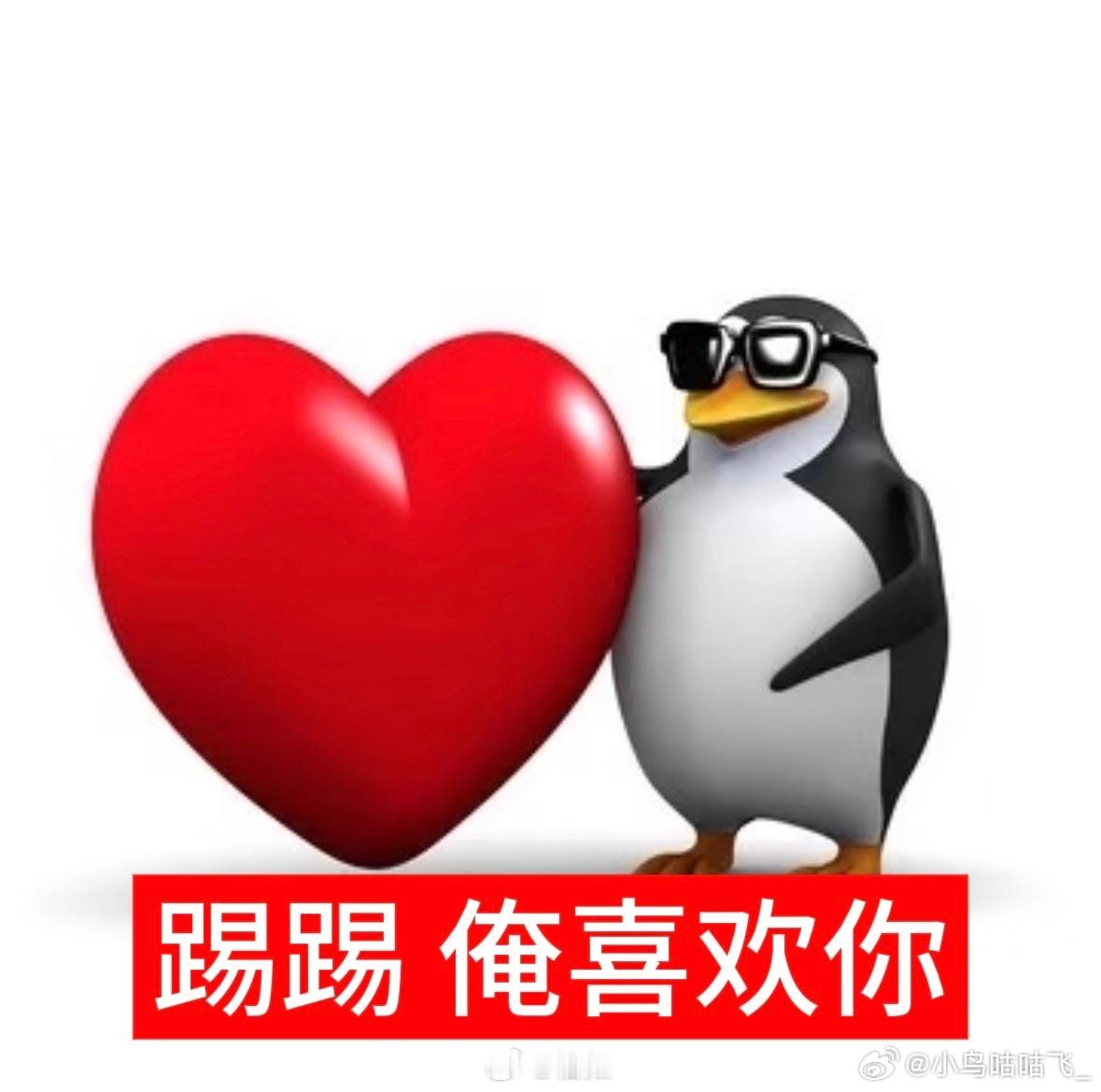 比黄婷更好看的更可爱的，是下一次直播的黄婷，我确信。 