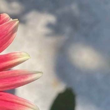 每日一善[超话]我们终究是四季的过客，流年的俗人，太多的风景还没来得及欣赏，季节