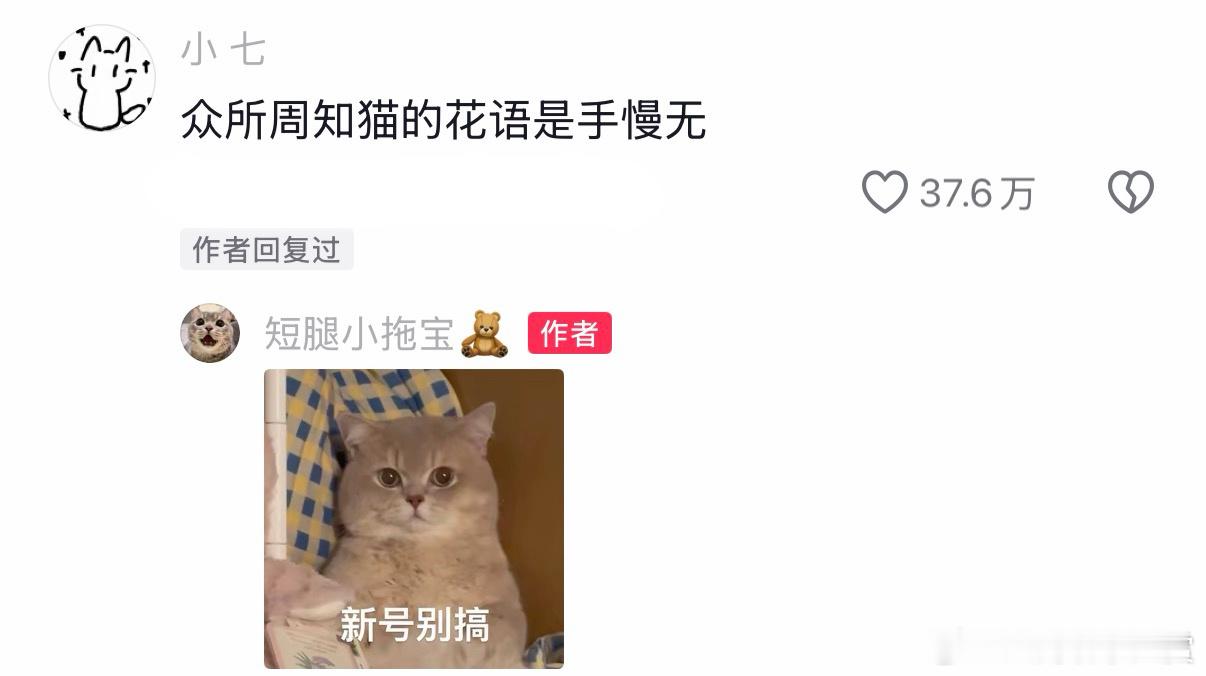 果然猫咪的花语是手慢无 果然猫咪的花语是手慢无 