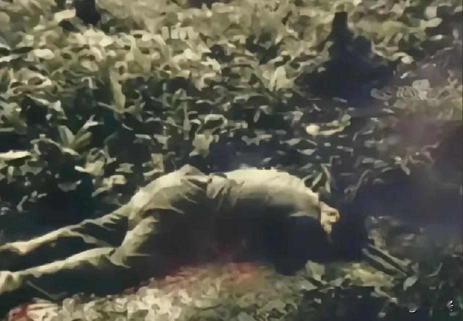 在老山前线，有突击队员倒在“死亡”冲锋线上，弥留之际还念叨着“我还一个敌人都没消