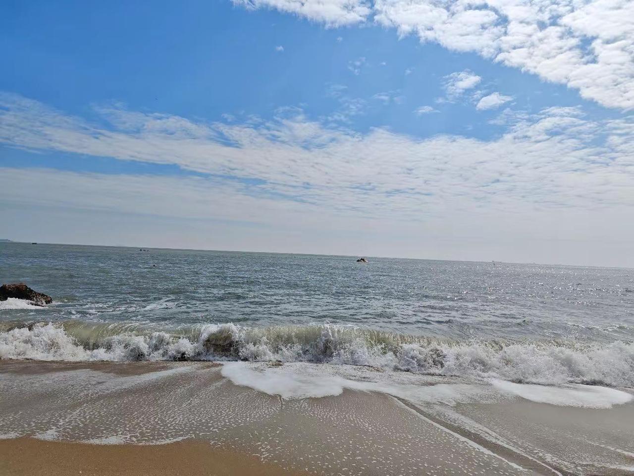 2026，自写剧本～