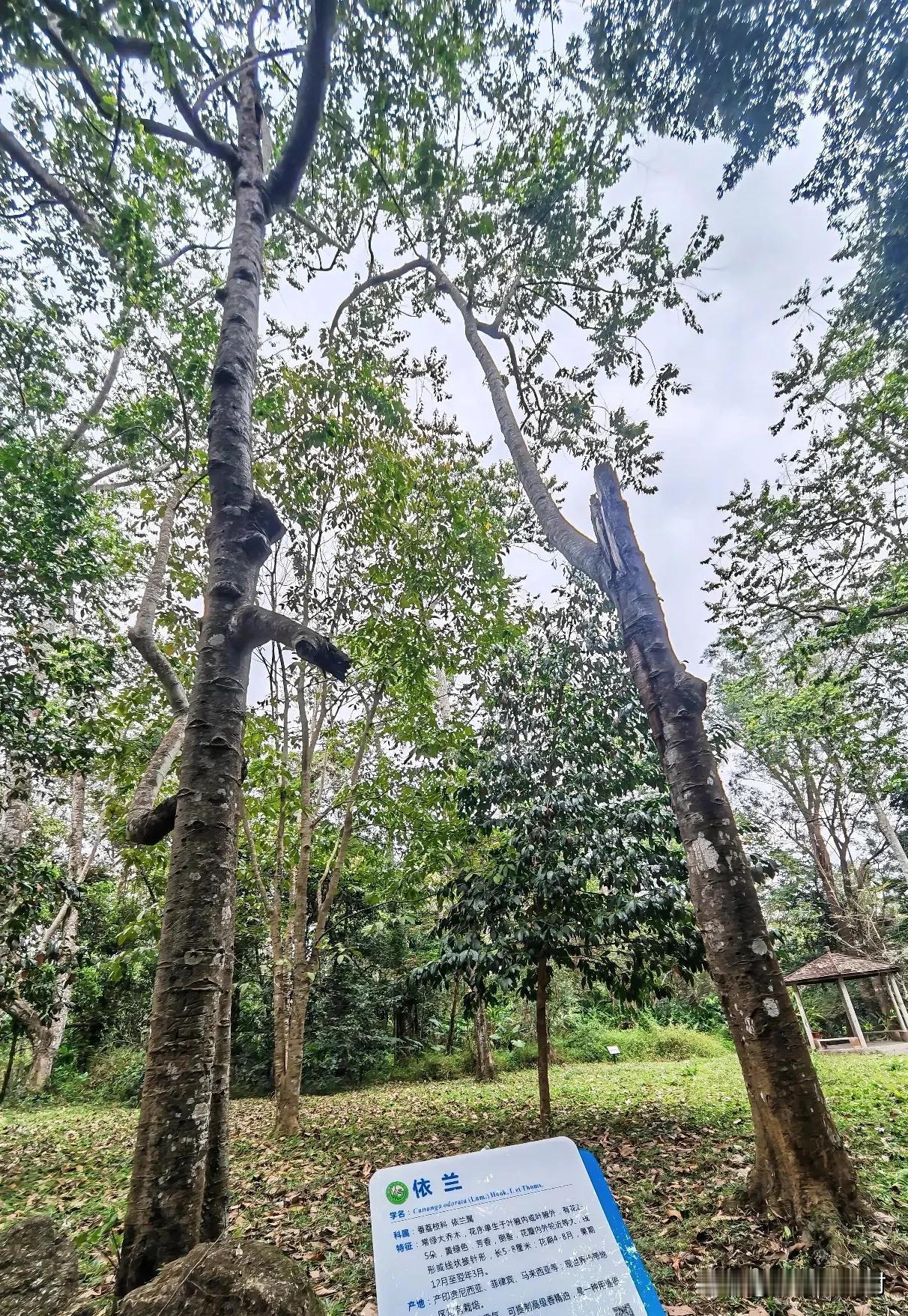 确实缘分不浅[赞]人常说：干年修得同船渡，不知你俩修了多少个千年呢[捂脸][捂脸