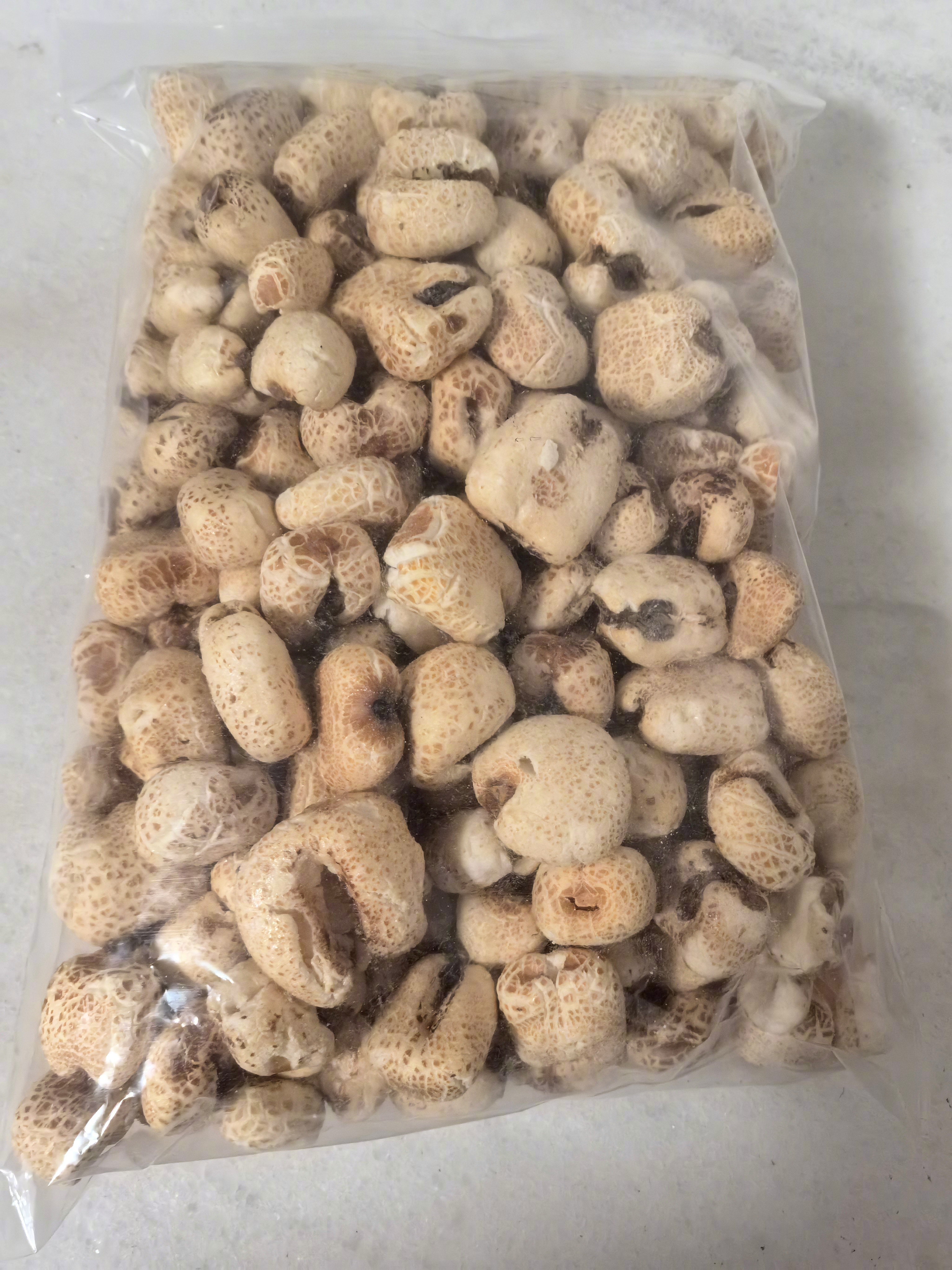中式爆米花，原料是普通玉米，用爆米花机来膨化，我觉得口感更好。电影院卖的那种西式