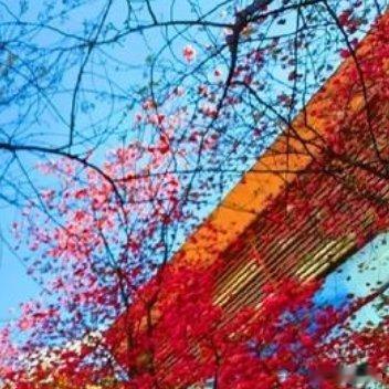 春去也，人在画楼东。芳草绿黏天一角，落花红沁水三弓。好景共谁同？ 