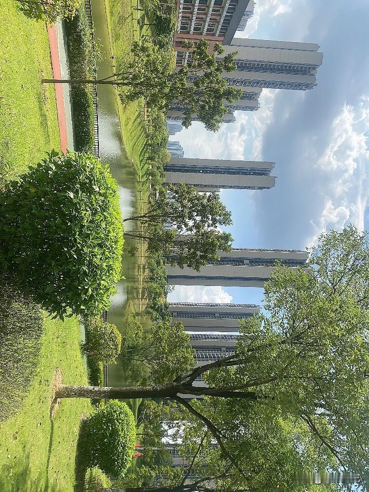 每天吃完饭来湖边走一走真的是一件很舒服的事情！我一直觉得这个世界上没有比减肥更容