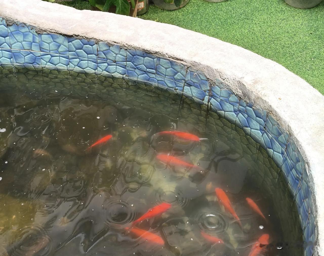 3月即将过去，驻马店的天气越来越好，新一年的忙碌，贯穿我们的生活，忙忙碌碌为了赚