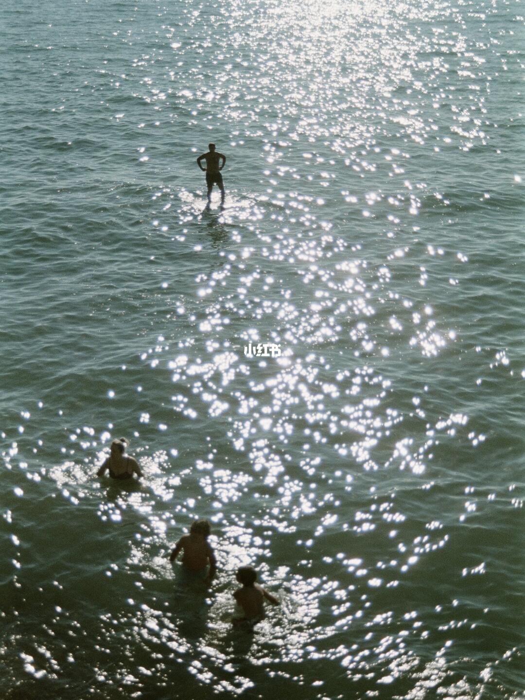 试试不加tag会吸引哪些MBTI