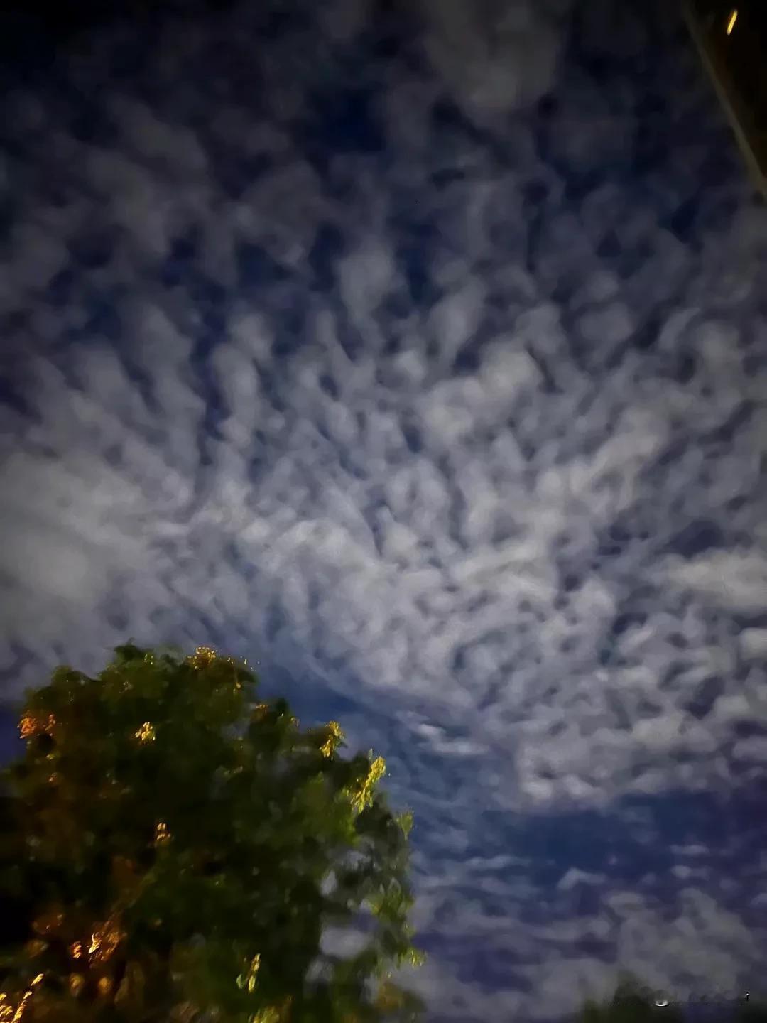 让人后悔的只有一件事——活的不够勇敢，手握枪支不叫勇敢，勇敢也不是你无所畏惧，真