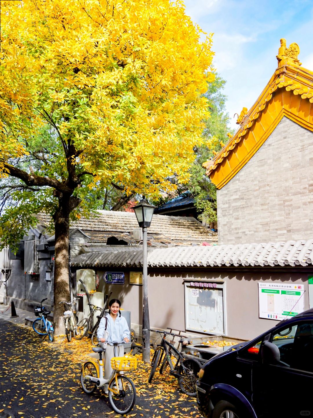 10.18实探北锣、三里屯西五街等❗️说点实话❗️