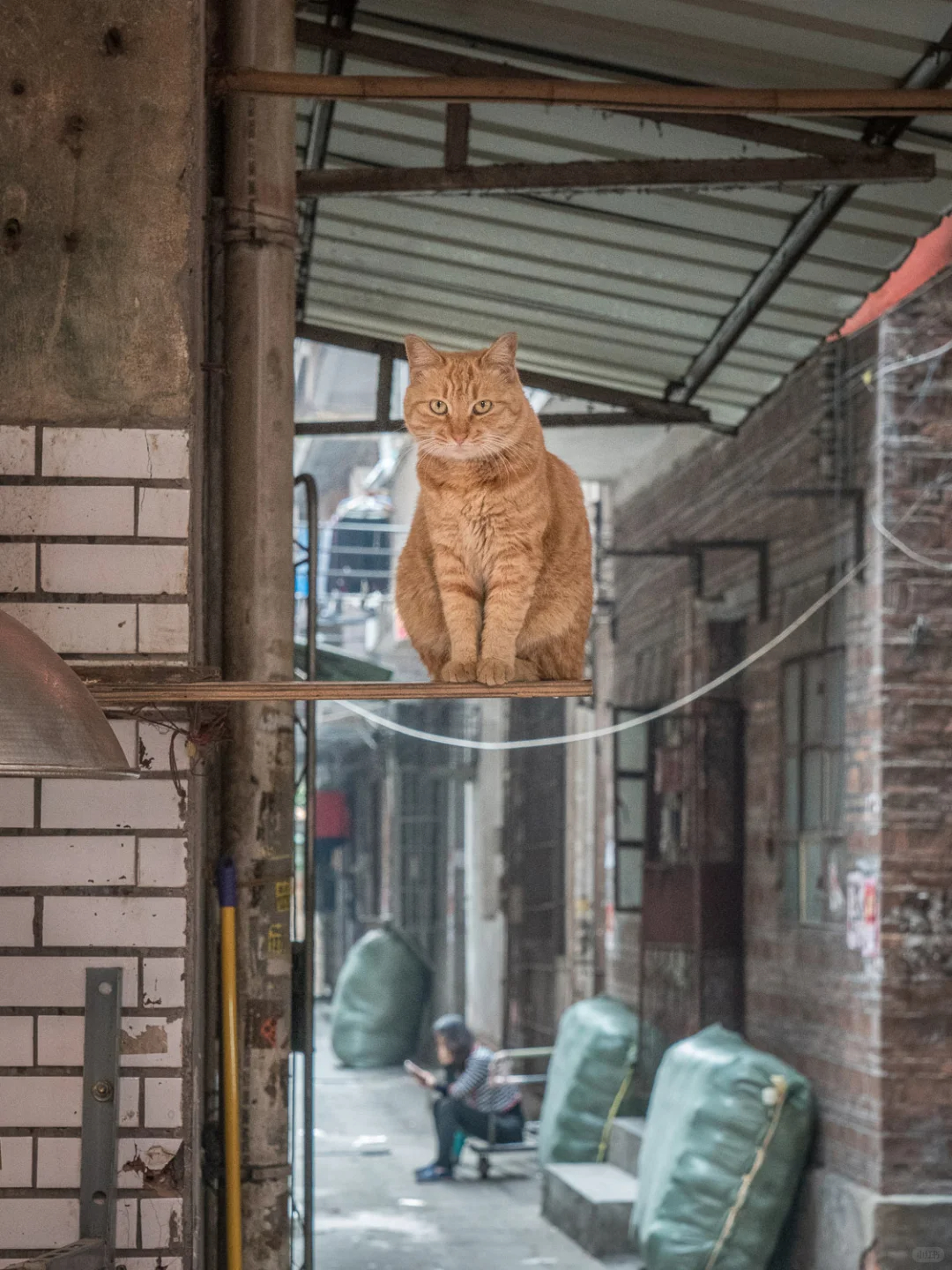 你瞅啥 ​​​
