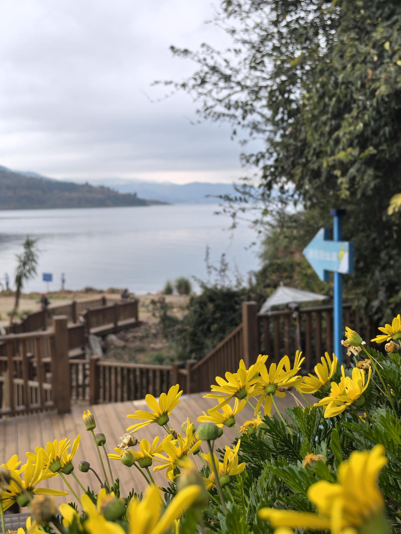 美国和伊朗的停火，说实话，太脆弱了，感觉随时都有可能会破裂。如果要说原因的话，那