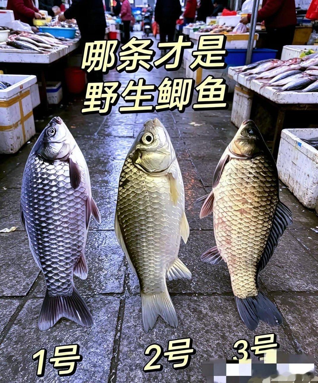 有人认识吗？ 