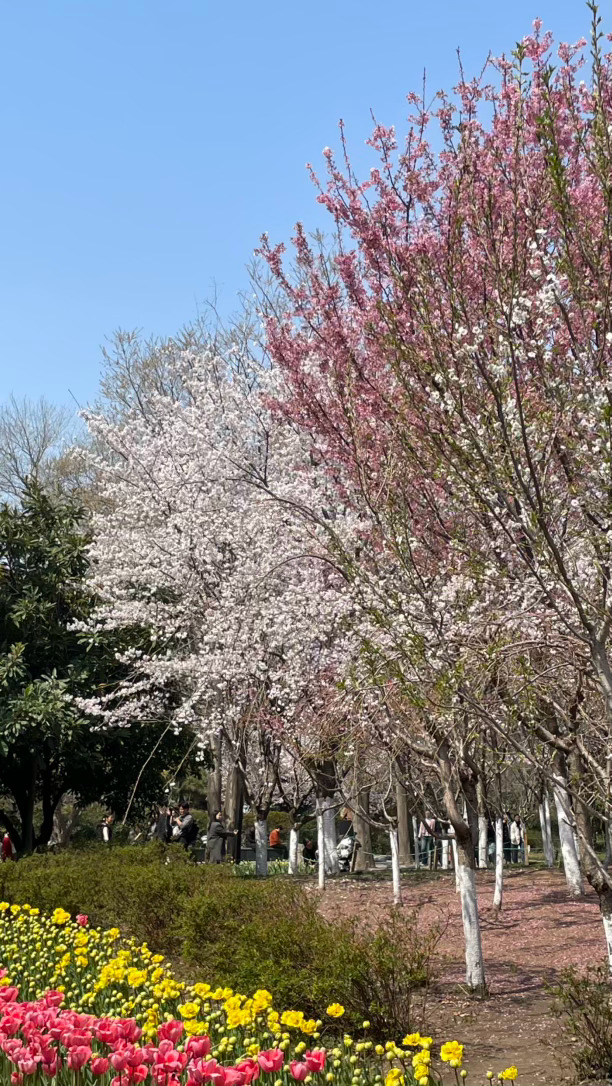 浪漫不会过时美好迎风来 