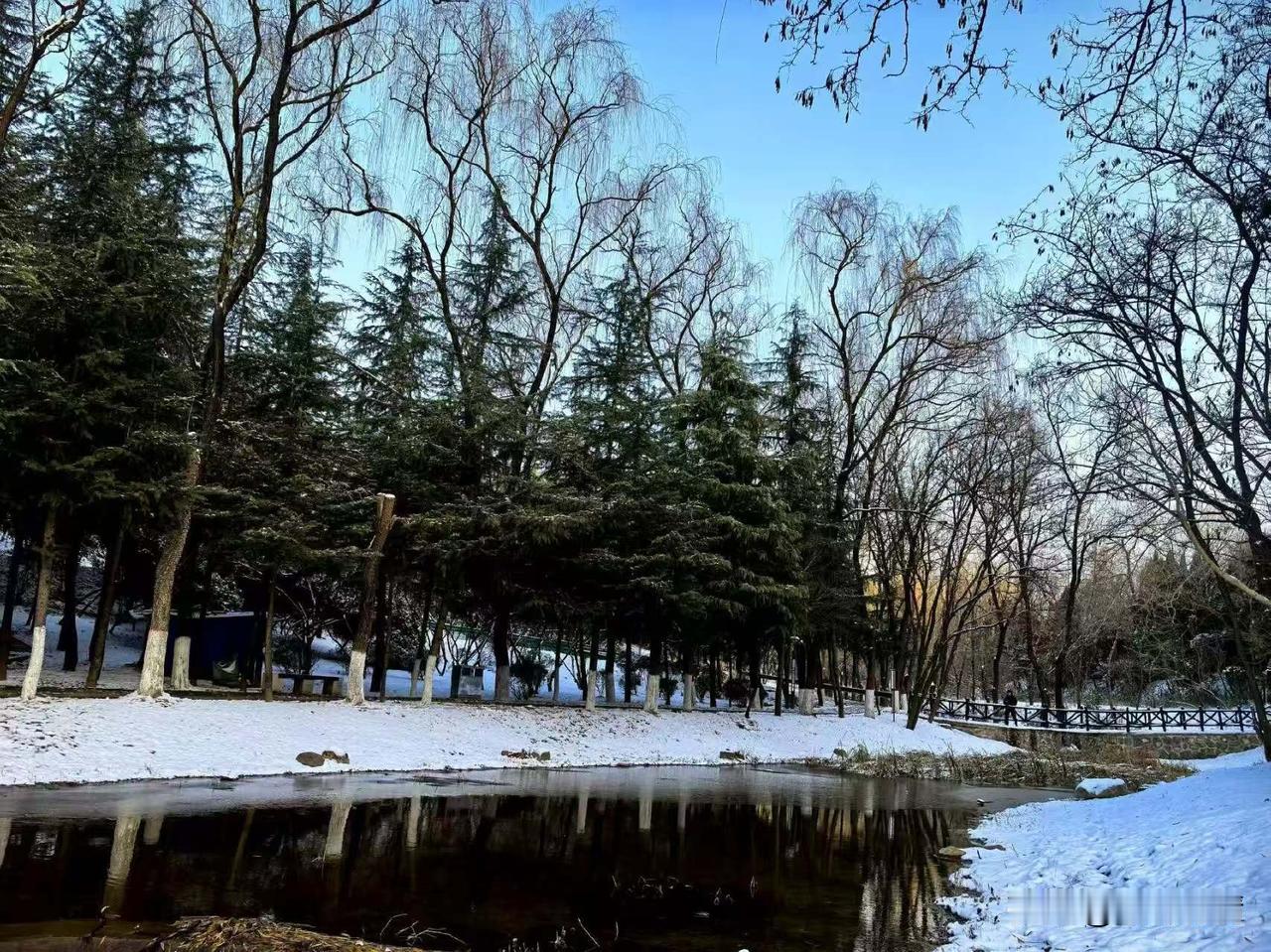 家乡的大雪景色也很美，
一处河边两岸全是白色的大雪，
河中的水并没有结冰，
里面