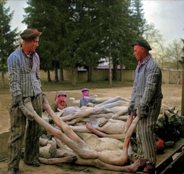 1945年4月，美军抵达达豪后，需要处理成千上万具遇难者遗体。刚开始时，美军要求