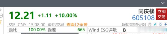 长鑫上市庆功概念股 