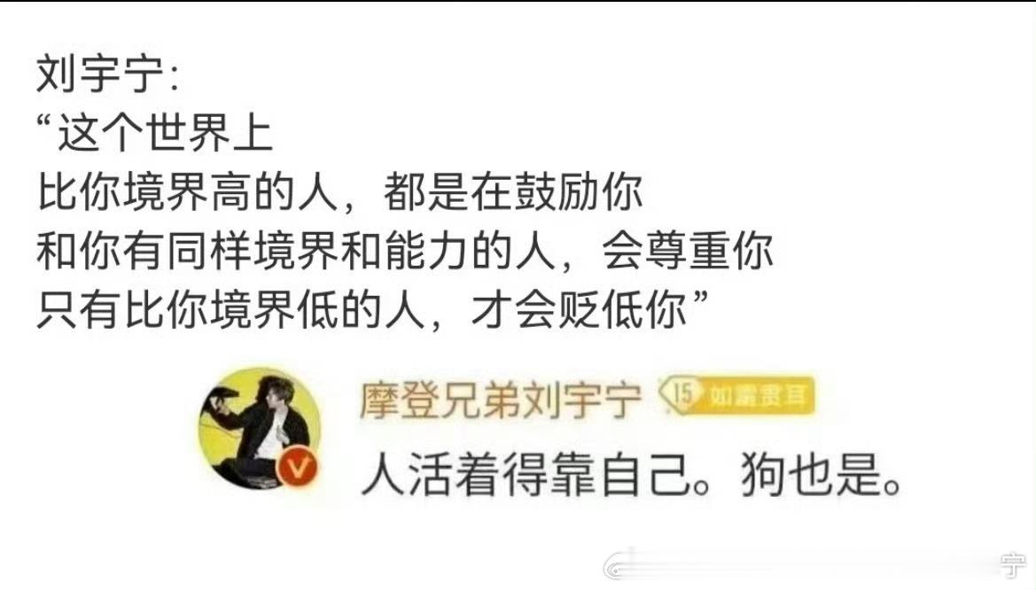 摩登兄弟  “人活着得靠自己，狗也是”刘宇宁 语录之顶刘说！一大早的用柚子🍃去