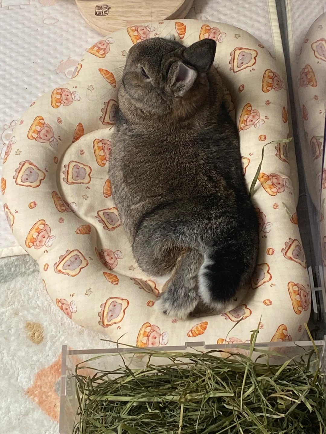 小宝宝大脚板