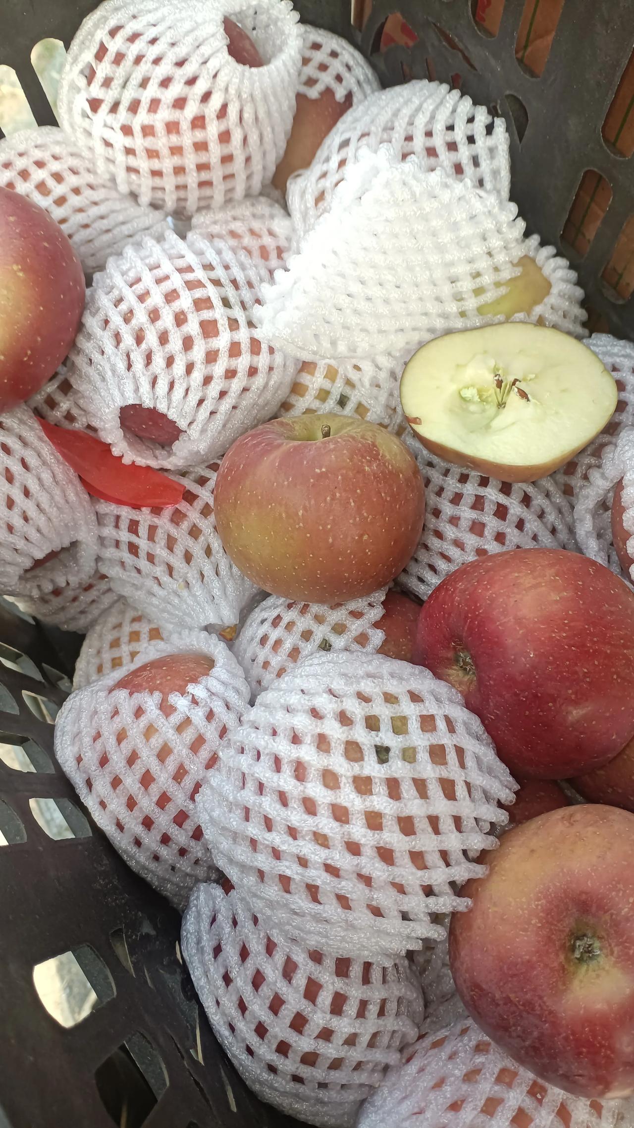  沅江蜜橘现在什么价，想搞千多斤回来赶集游乡卖，最近不知道卖什么货了[捂脸][捂