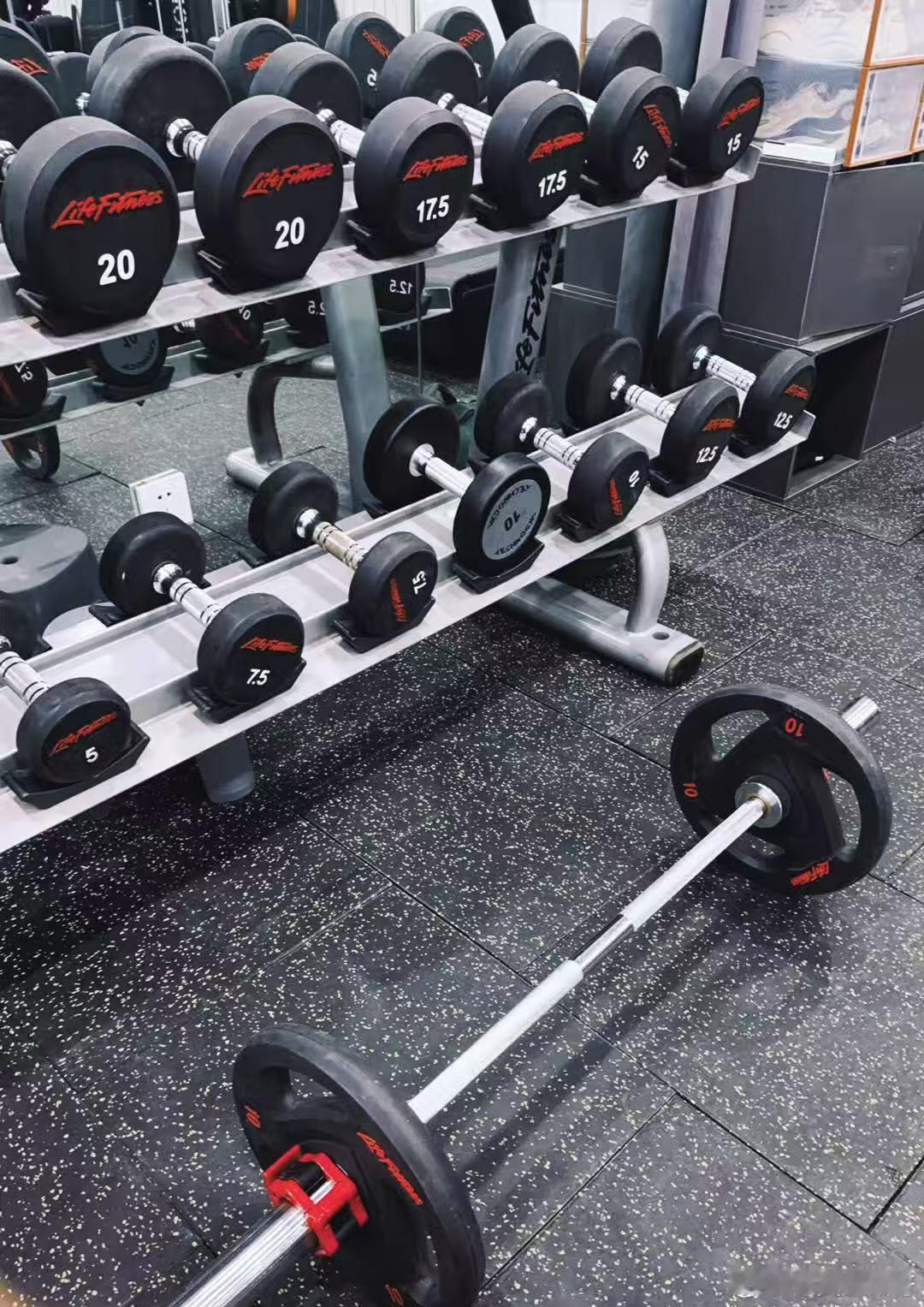 赵小童新作品加载中赵小童忙忙碌碌飞来飞去 赵小童新作品加载中 