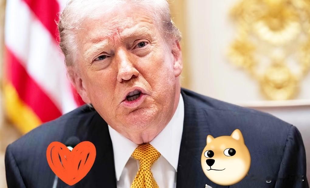 川普说“问题由东方大国自己决定”，这句话可以理解为两层意思。一是他不管了，随你们