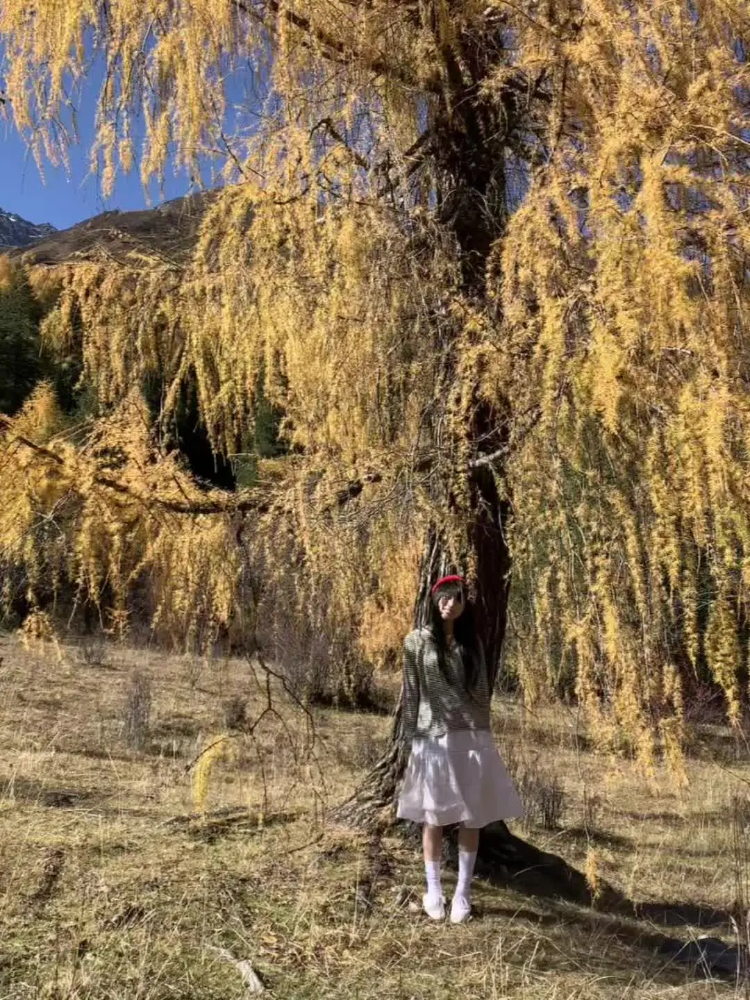 双脚深深的扎进泥土里发丝和藤蔓缠绕在一起落叶飞沙都布满我，棕色的瞳孔棕...
