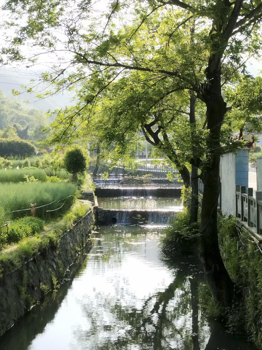 2H逃离武汉🌿隐秘古村登山赏花踏青～
在武汉周边
发现一个人少景美的古村
村里