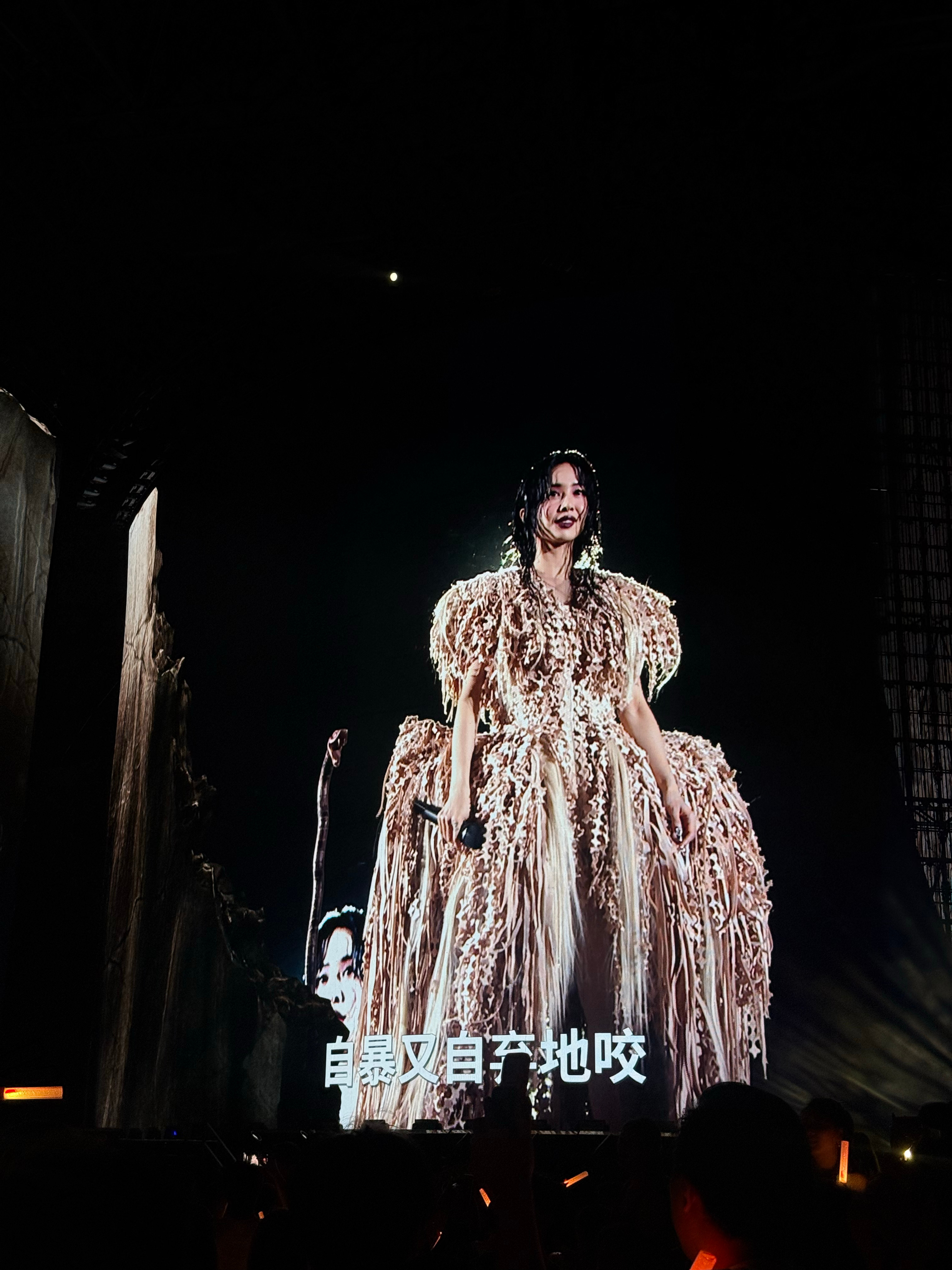 啊啊啊！！！抢到的蔡依林内场。好处是位置特别近！！！坏处是只有背影
