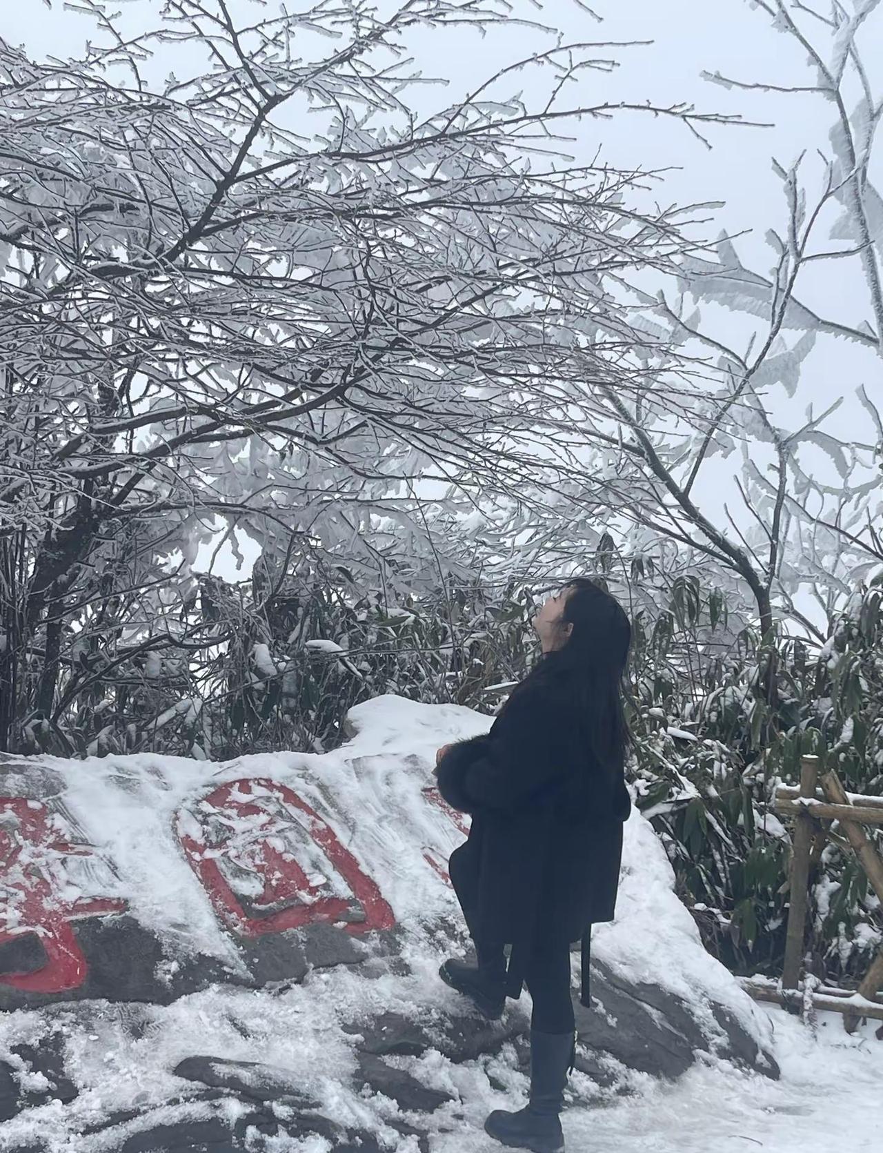 雪山美景图片 一起看雪 雪山爬山推荐