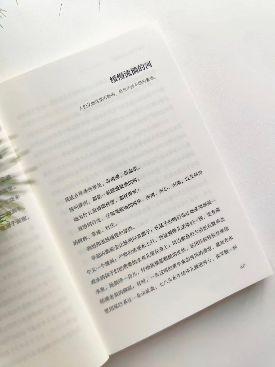 万物有灵，我从植物身上学到了…… ​​​