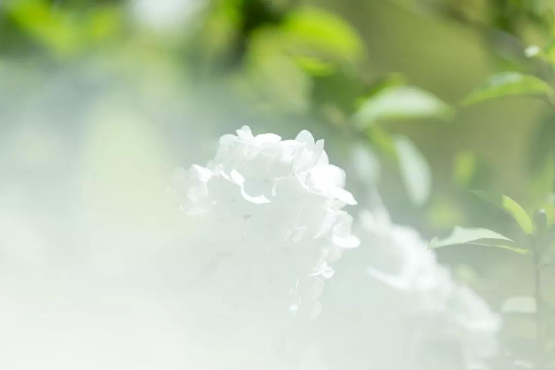 “孤单不是悲剧，无法孤单才是。有时候为了不要再和人的世界有任何关联，我愿意放弃一
