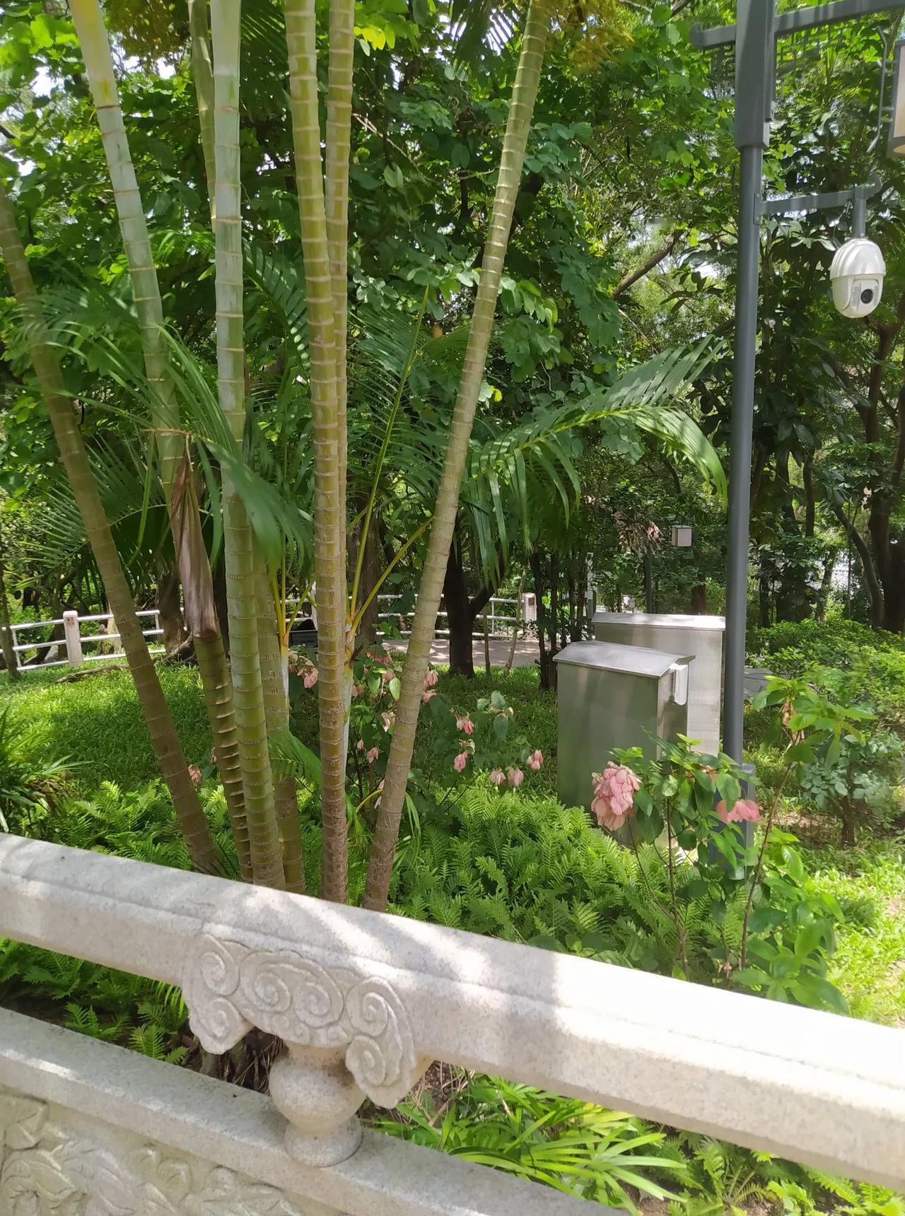 有人说，你不能跟别人比，你必须跟自己比，因为每个人的出身不同，起点不同。你每天都