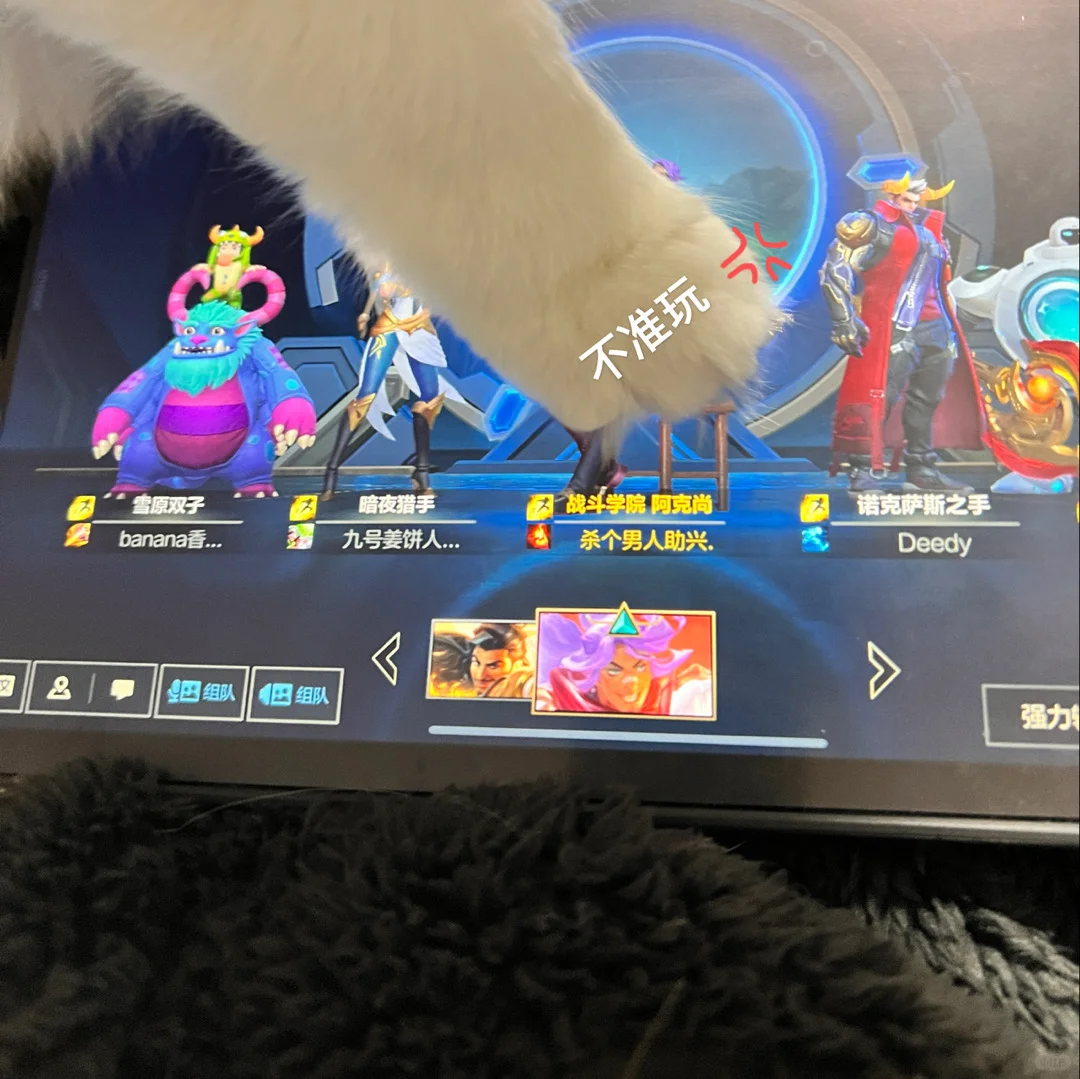 我就是小猫管严🐾