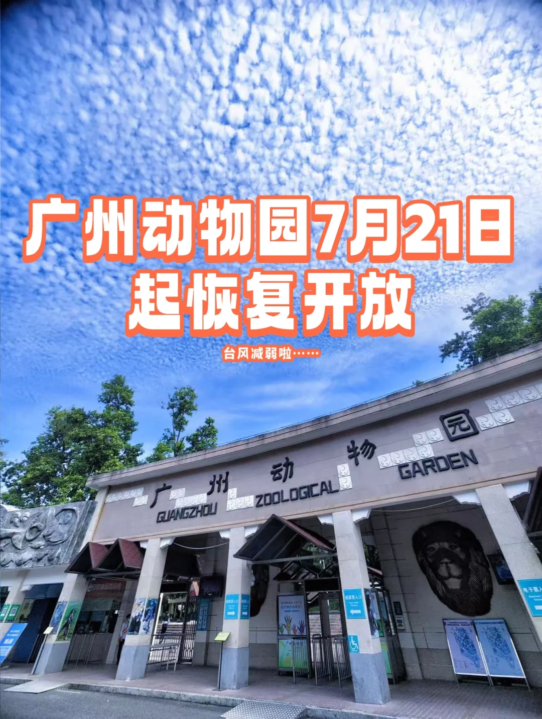 温馨提示🔔：广州动物园恢复开园啦！