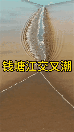 钱塘江的交叉潮，
感受大自然的鬼斧神工[泣不成声]